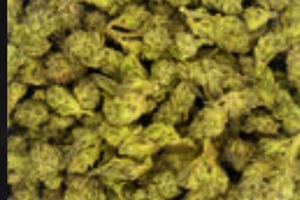 Customer photo review of Cheap THCA Flower Ounce (28g)