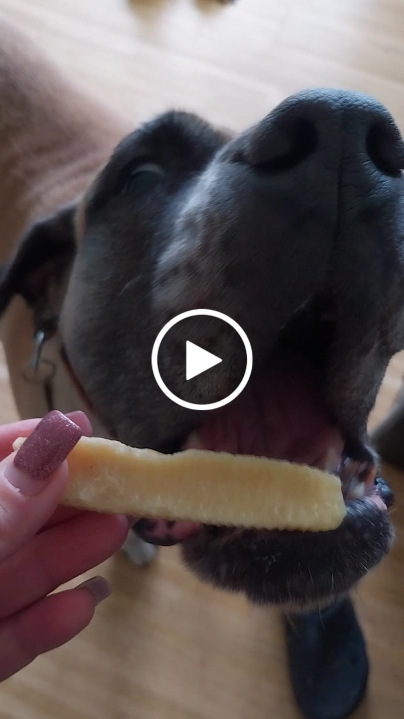 Customer video review of Treateaters Himalayan Cheese Tyggeben 34 g