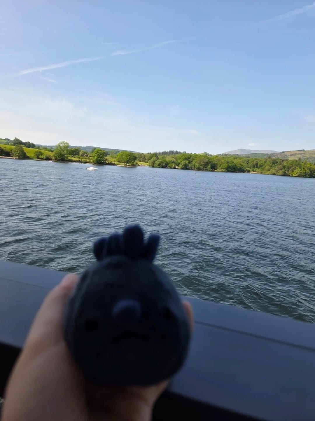 Customer photo review of Forgotten Single Blueberry