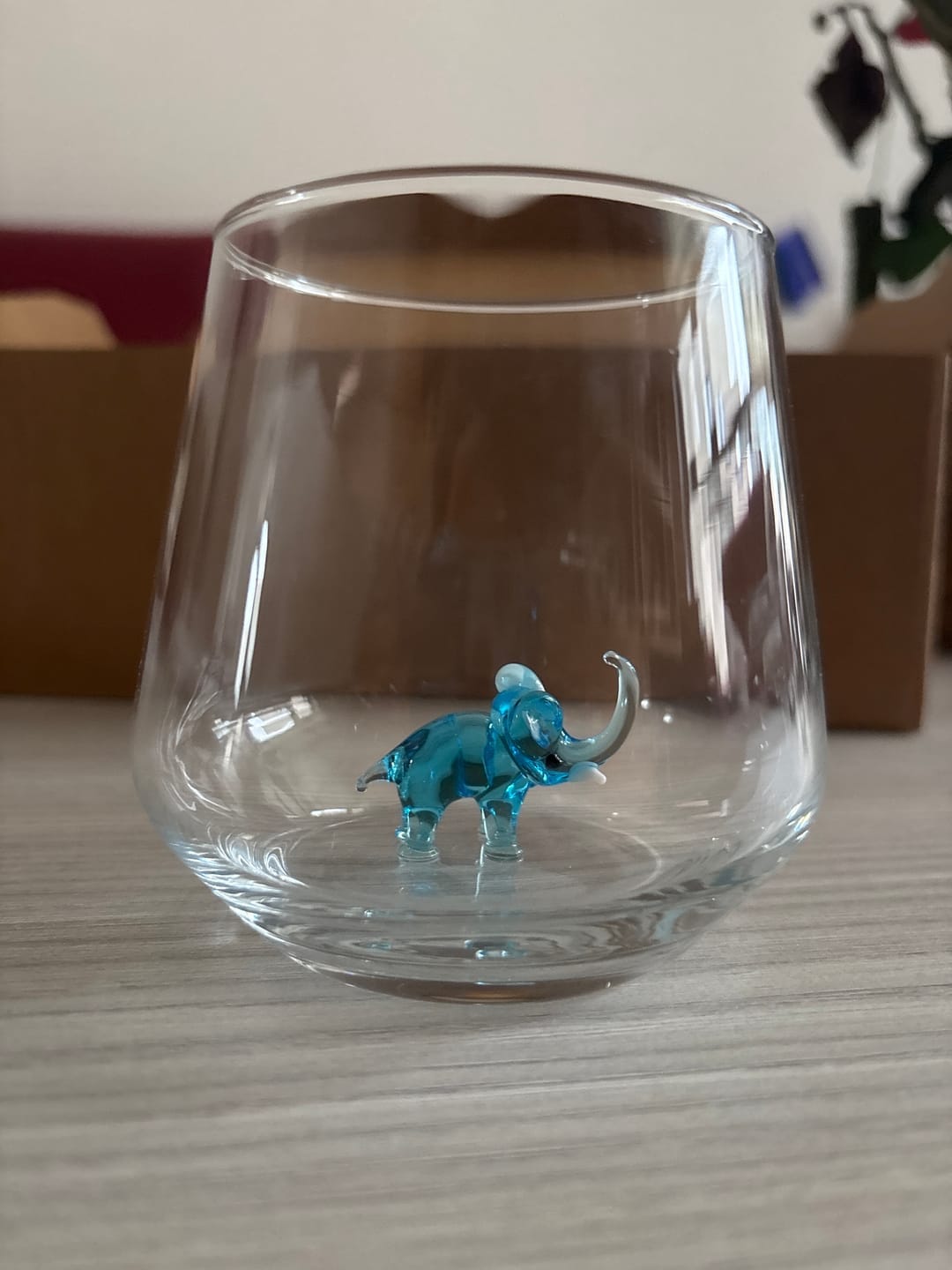Customer photo review of Elephant Glass