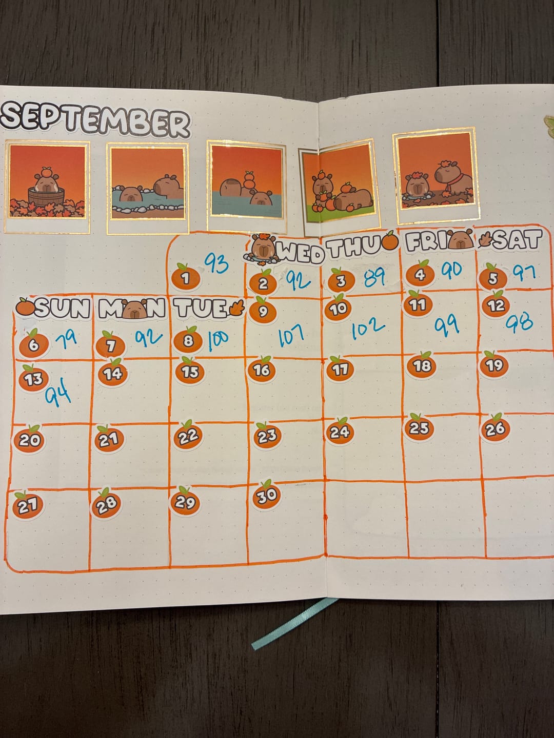 Customer photo review of Capy Autumn Days and Date Covers