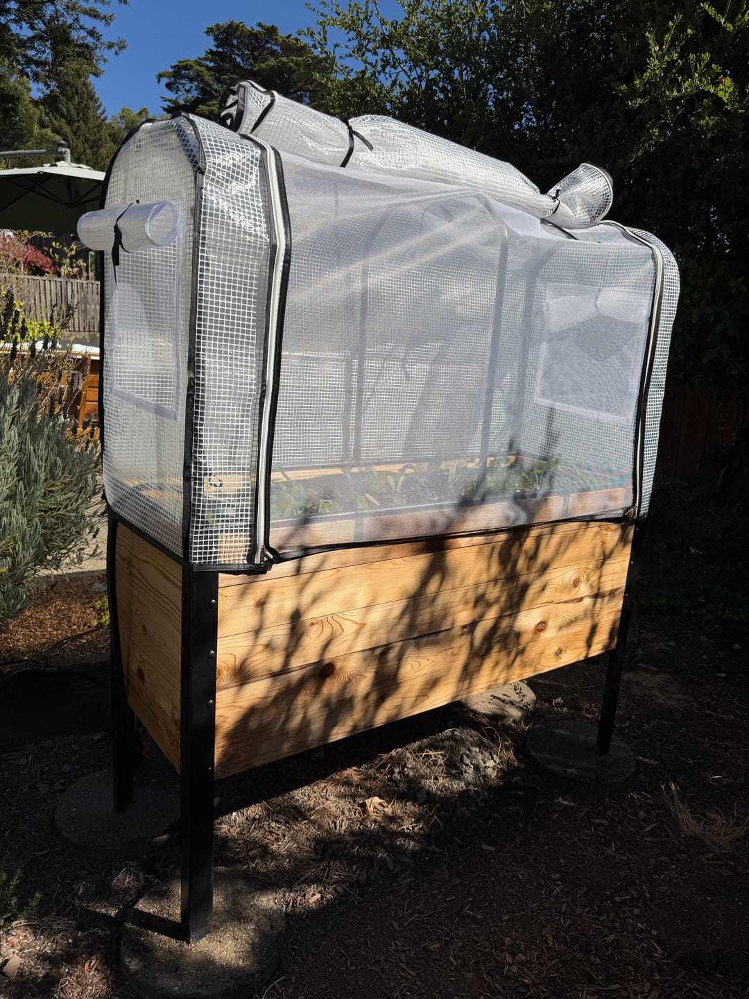 Customer photo review of Greenhouse Cover
