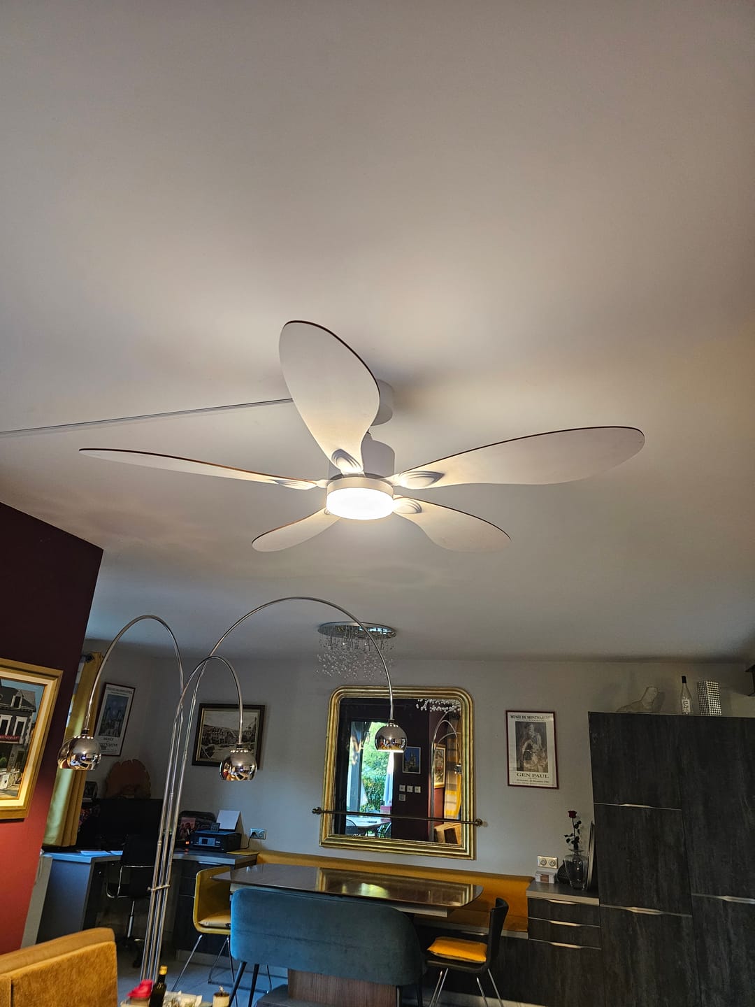 Customer photo review of Libellule | Ventilateur de plafond