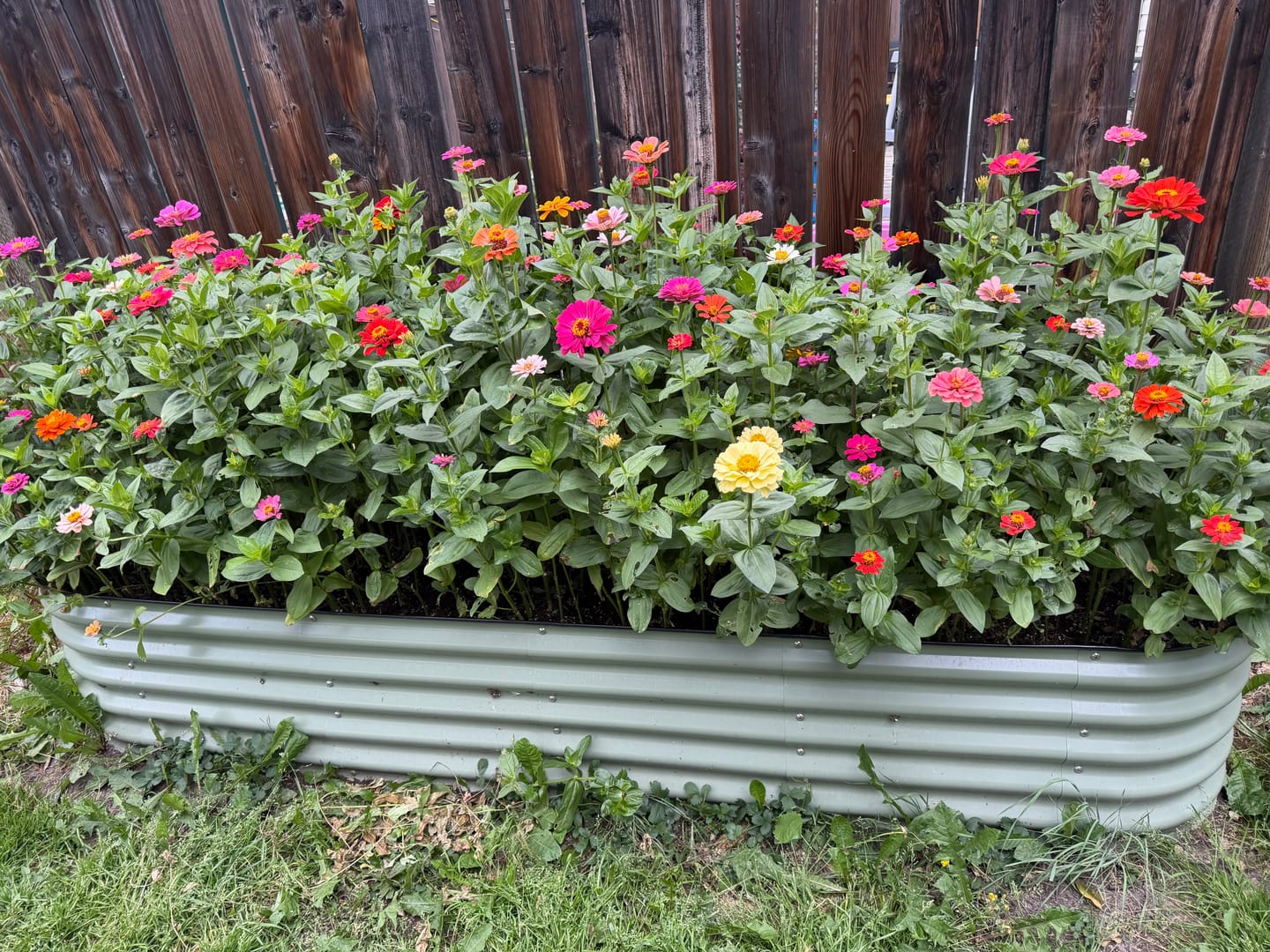 Customer photo review of 17” Tall Modular 9 in 1