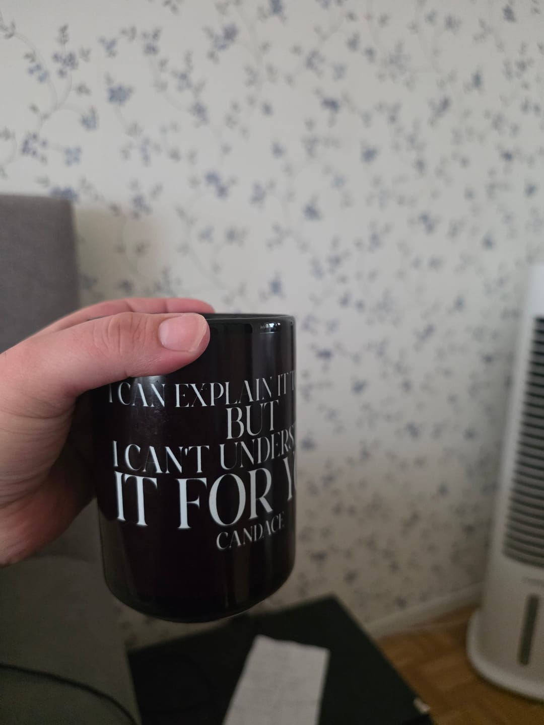 Customer photo review of "I can explain it to you, but I cant understand it for you"  Mug