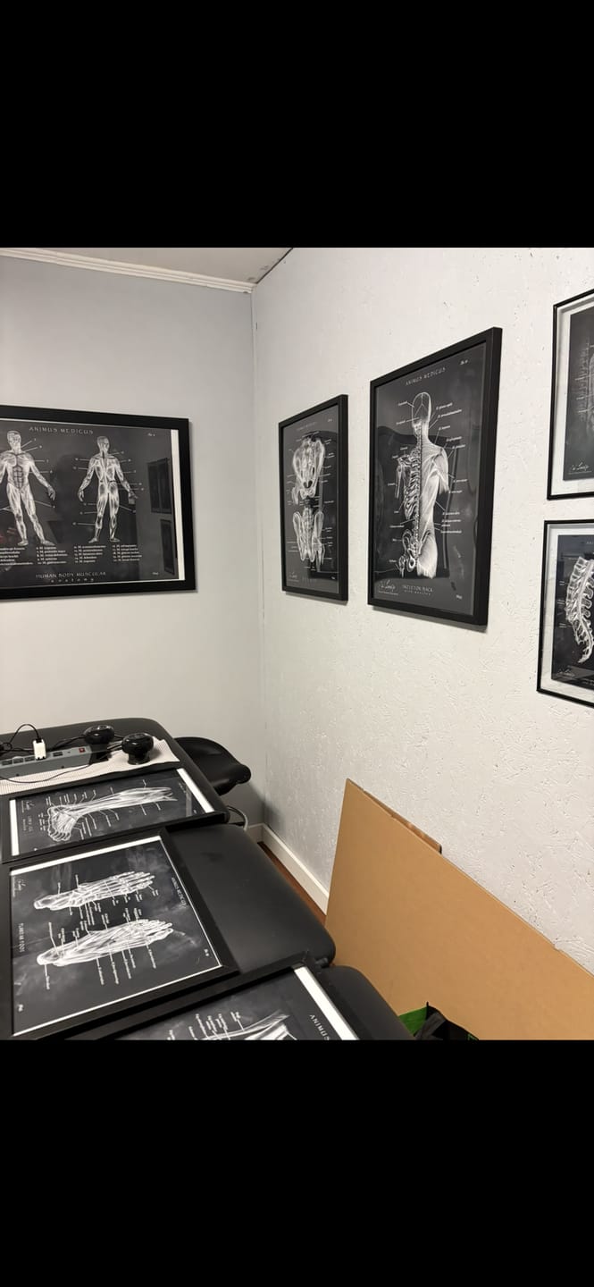 Customer photo review of Foot Anatomy | Bones and Muscles - Chalkboard