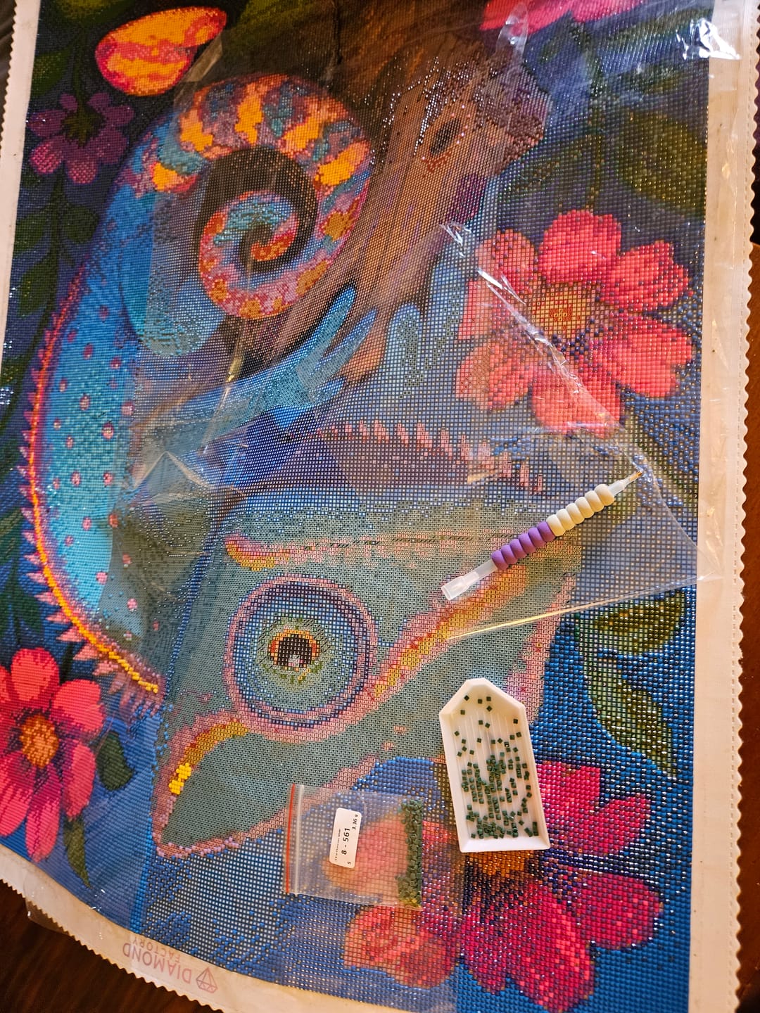 Customer photo review of Blue Chameleon