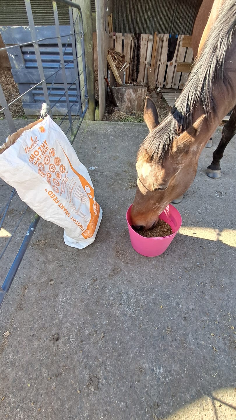 Customer photo review of Harvest Grains Timothy Smart-Feed