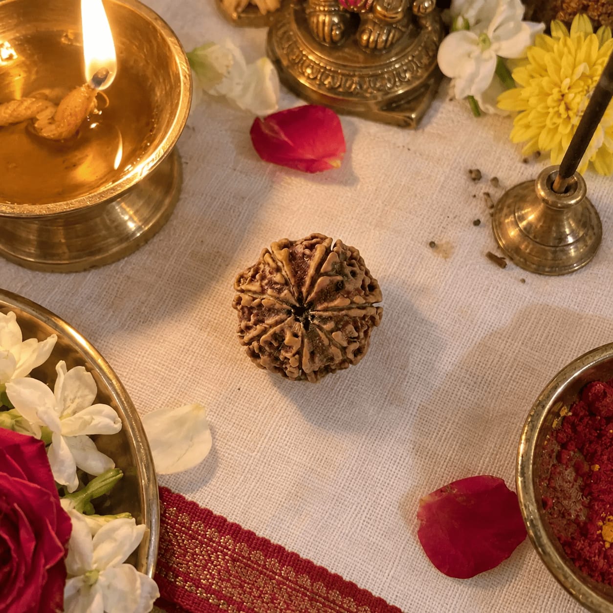Customer photo review of 7 Mukhi Rudraksha (Nepali)