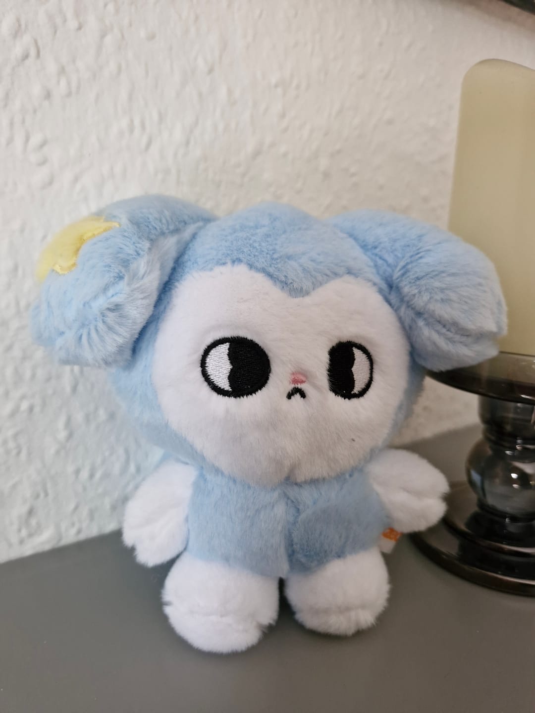 Customer photo review of SKZ RUN IT TASY PLUSH Ver.