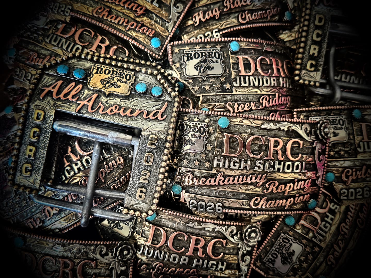 Customer photo review of Back Cinch Style 10