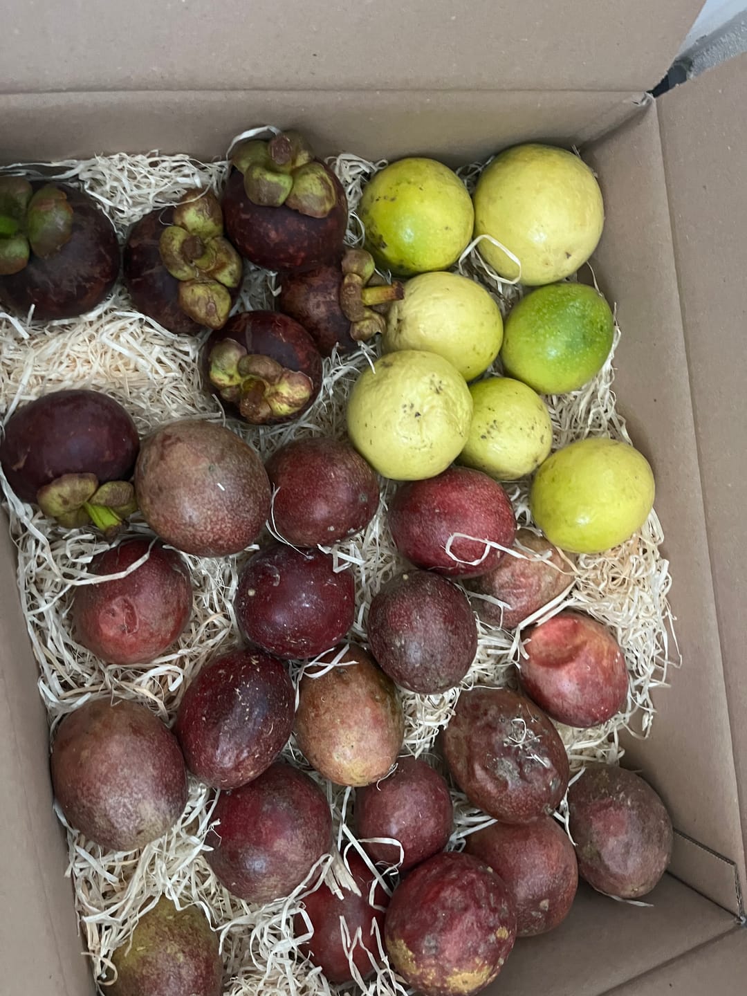 Customer photo review of Mangostan (Mangosteen) naturbelassen von Juan