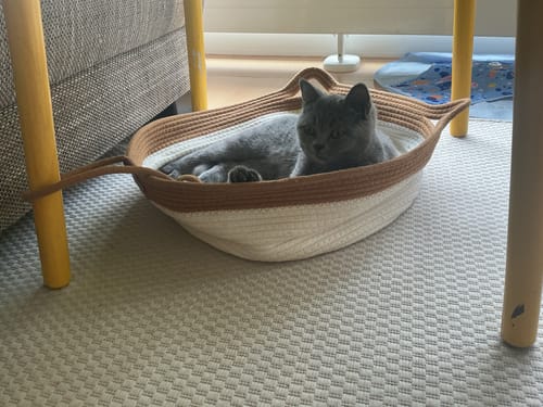 Reviewer's gray cat lying inside the beige and brown woven Fellnest Katzenkorb on a carpeted floor.