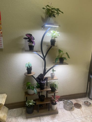 Customer photo review of 63" Tall Indoor Grow Light Plant Stands (Set of 2)