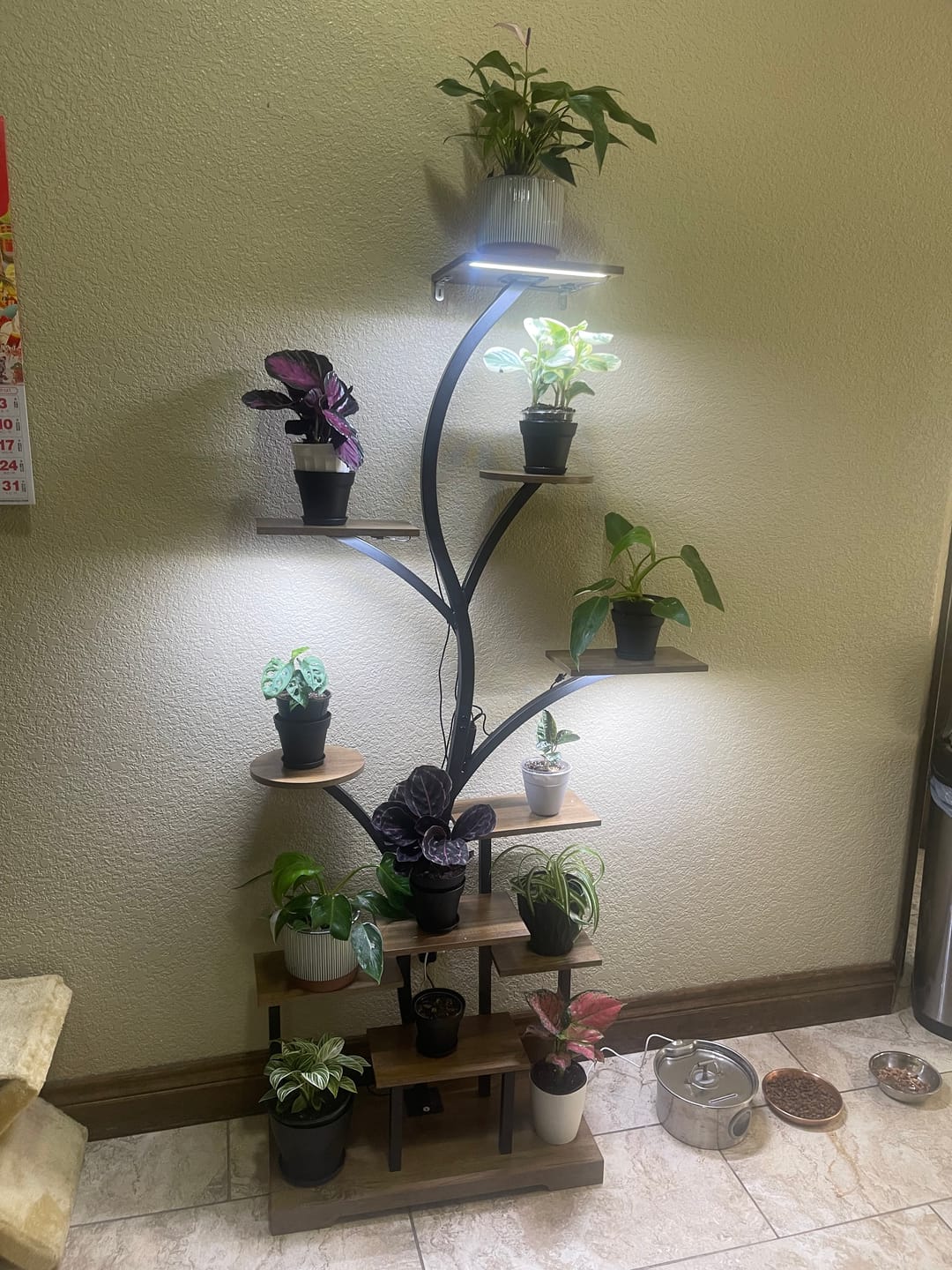 Customer photo review of 63" Tall Indoor Grow Light Plant Stands (Set of 2)