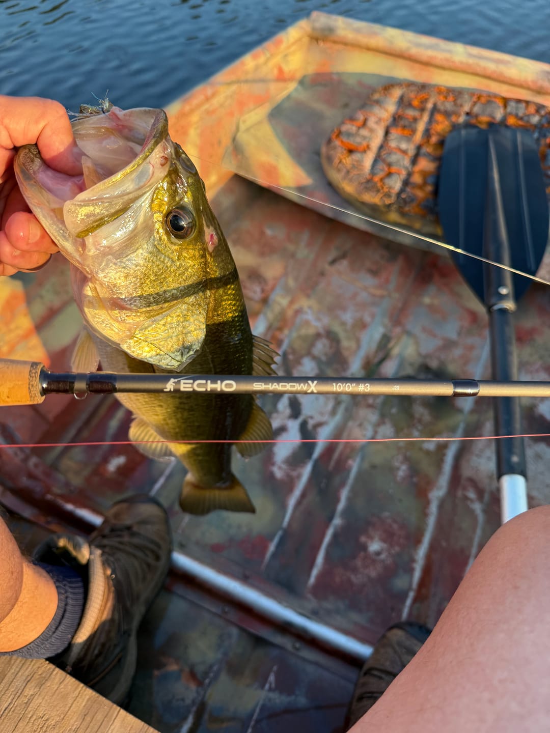 Customer photo review of Echo Shadow X Euro Nymph Fly Rod
