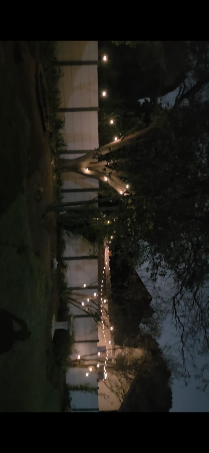 Customer photo review of Black String Solar Fairy Lights