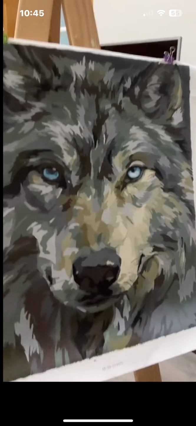 Customer photo review of Grey Wolf