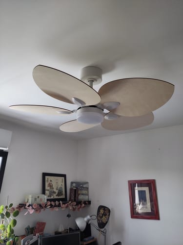 Customer's Dahlia ventilateur de plafond en bois clair avec pales en forme de pétales installé au plafond