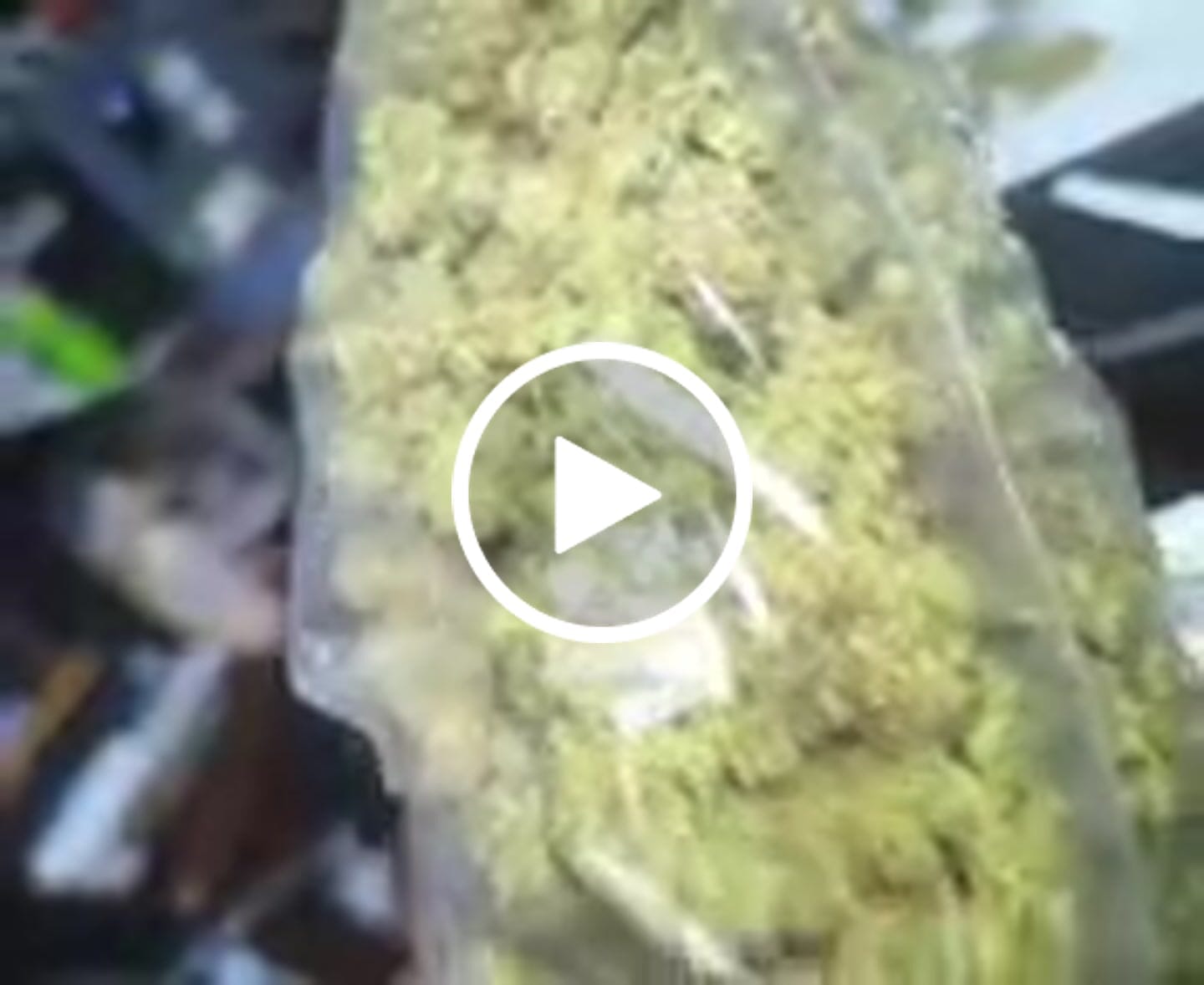Customer video review of Purple Push Pop  (Half-Price Wholesale Clearance)
