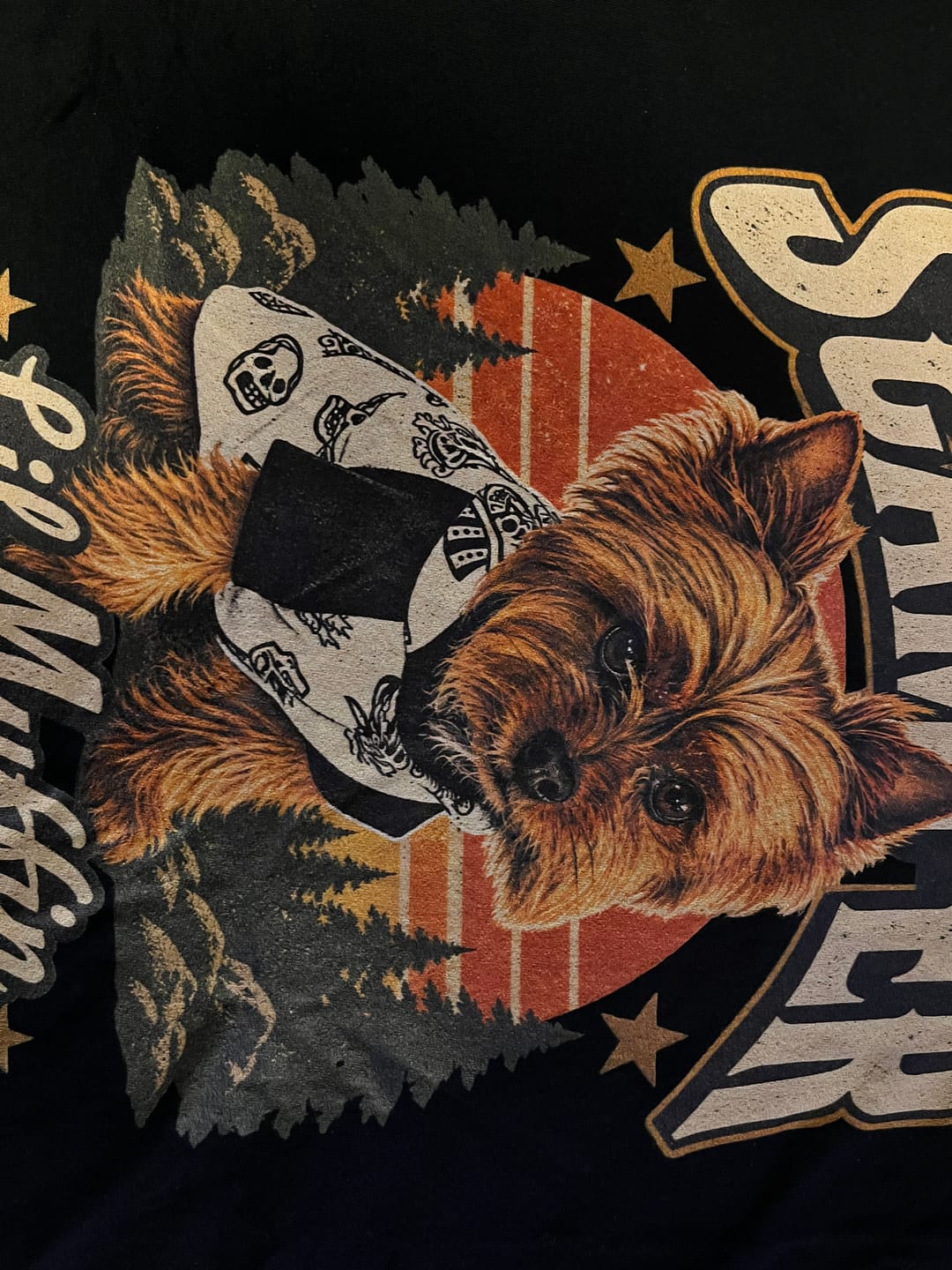 Customer photo review of Custom Graphic T-Shirt | Personalized Shirt Designed Just for You