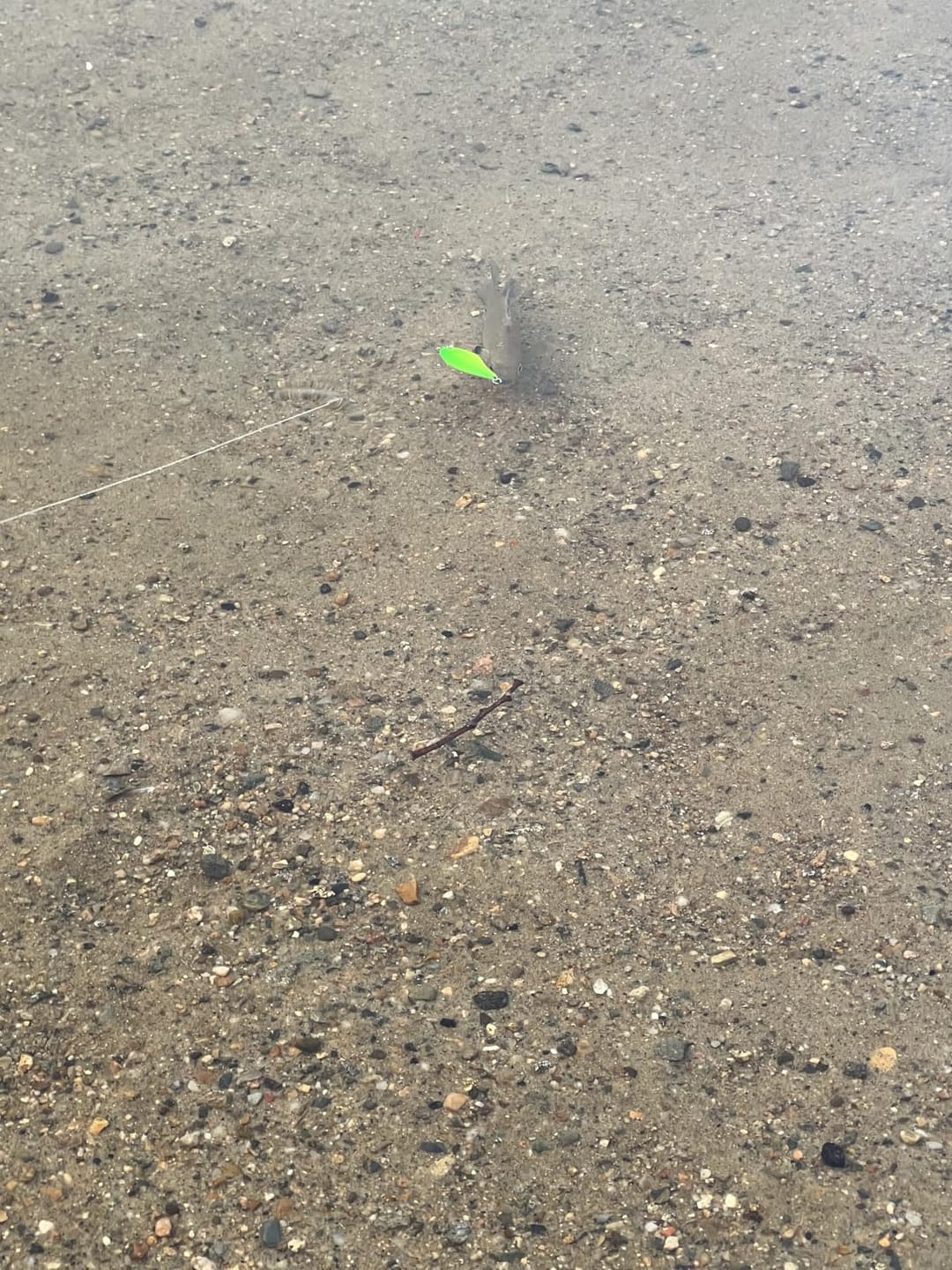 Customer photo review of [6PCS] TRUSCEND Smallest Jointed Swimbaits