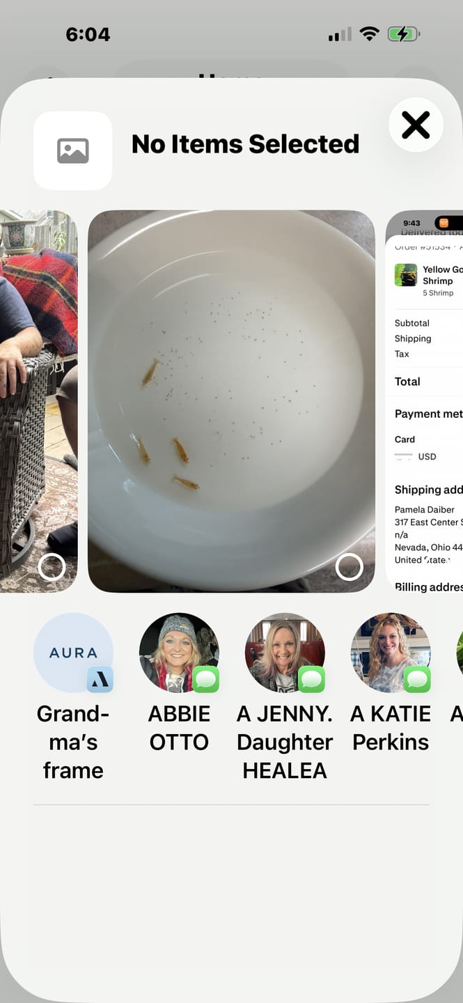 Customer photo review of Yellow Golden Back Shrimp
