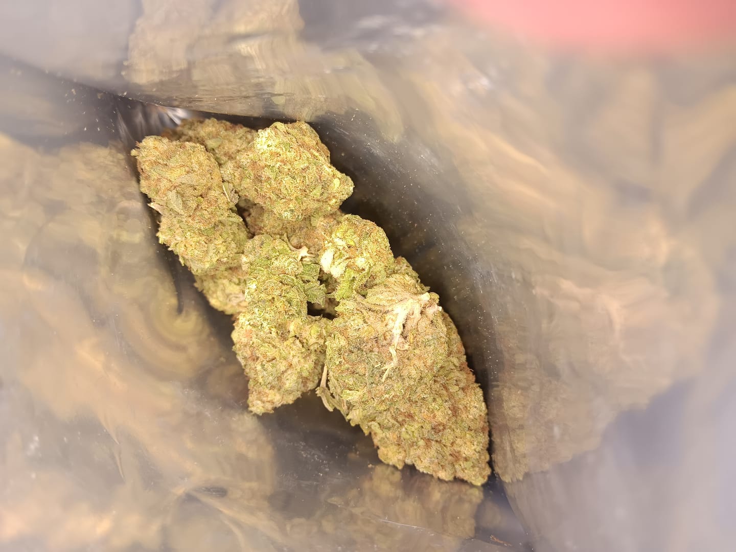 Customer photo review of Gorilla Glue Greenhouse THCA