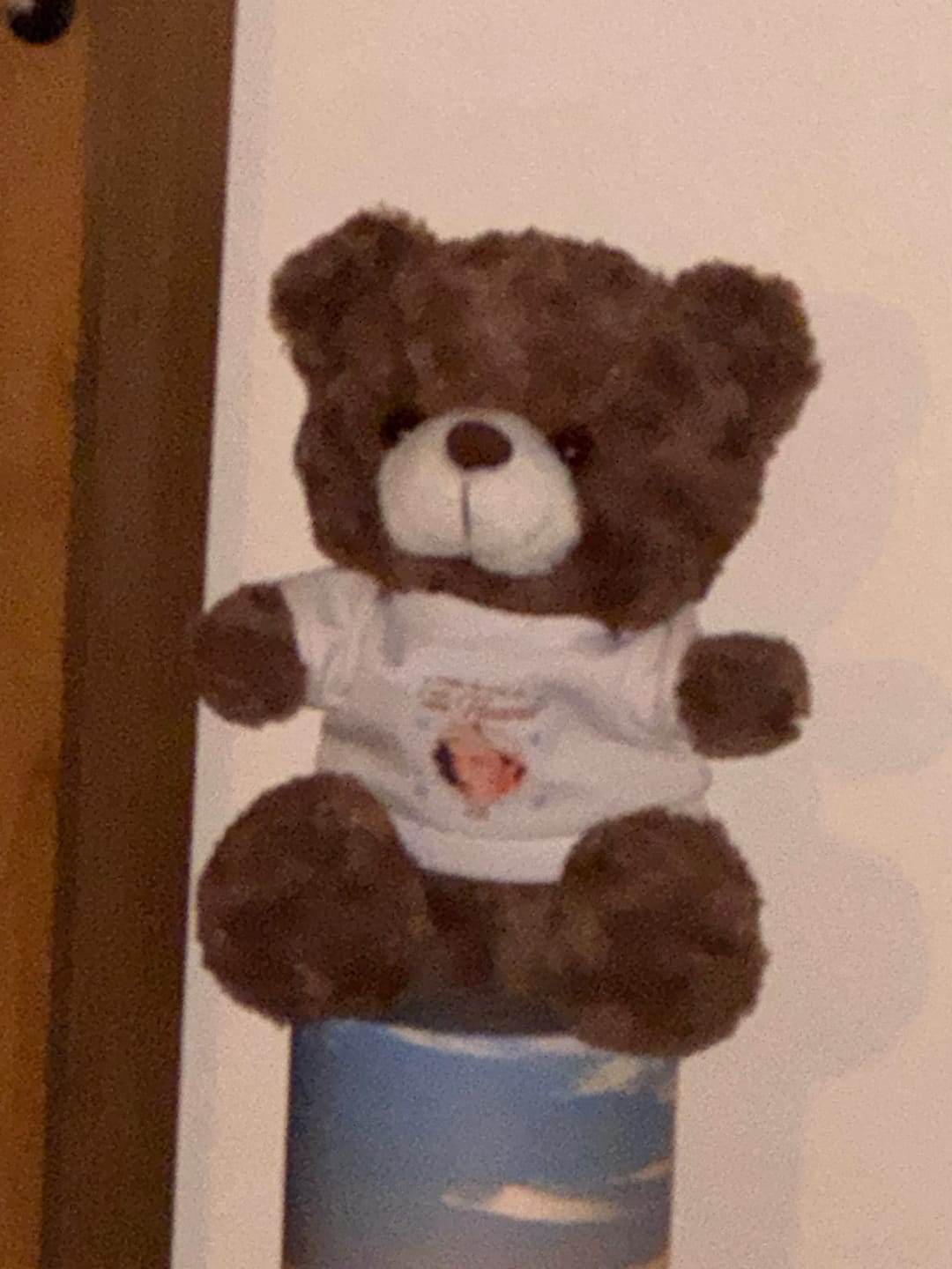 Customer photo review of A Big Piece of My Heart Lives In Heaven - Personalized Memorial Teddy Bear