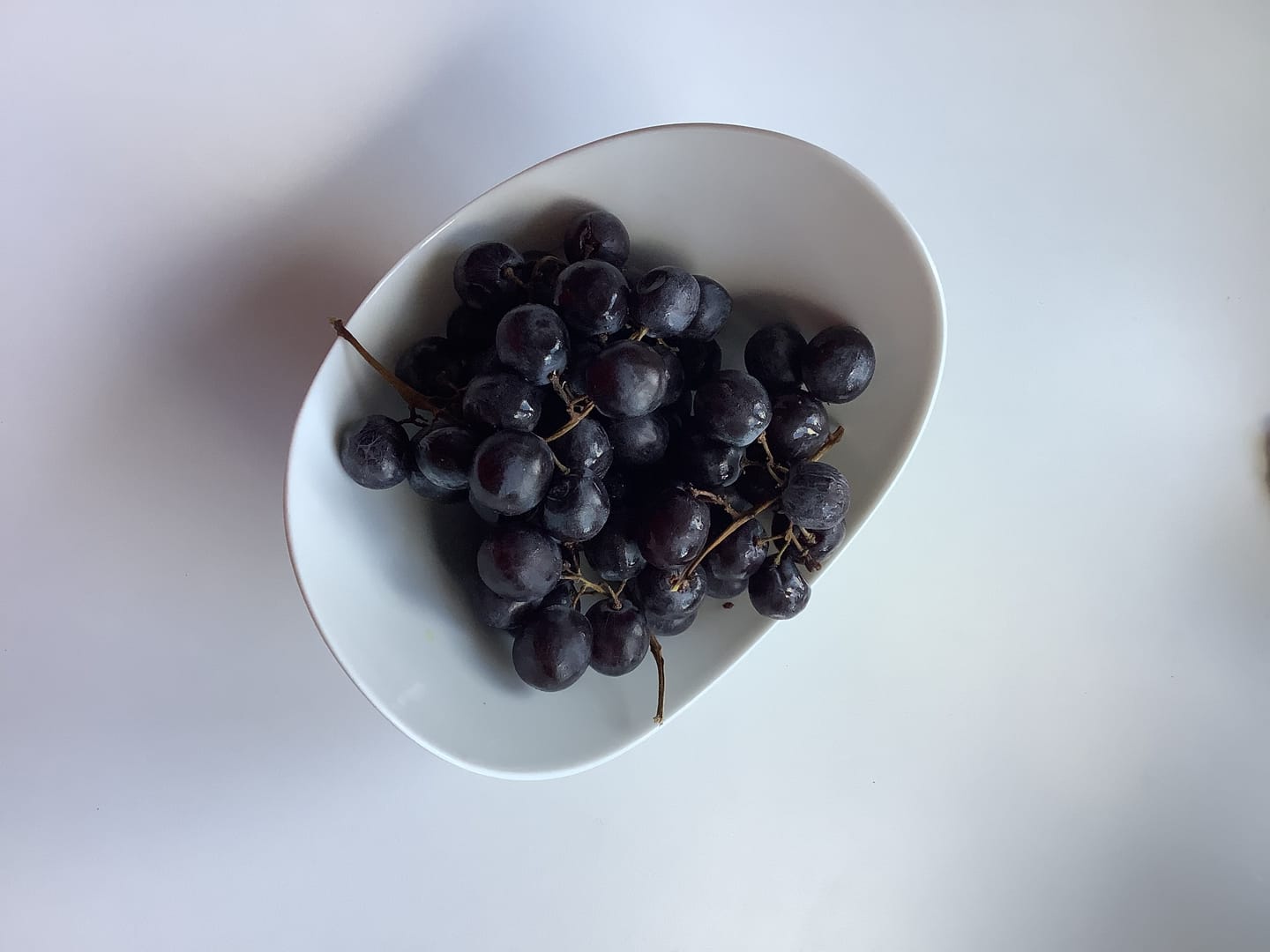 Customer photo review of Trauben blaue Muscat d´Hambourg Bio aus Kreta
