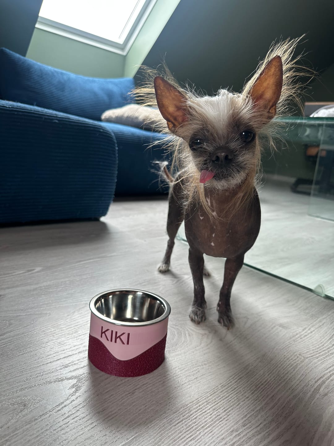 Customer photo review of Personalizowana miska z imieniem dla pupila