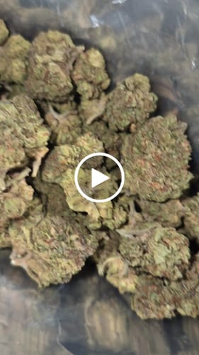 Customer video review of Bulk THCA Flower Pounds