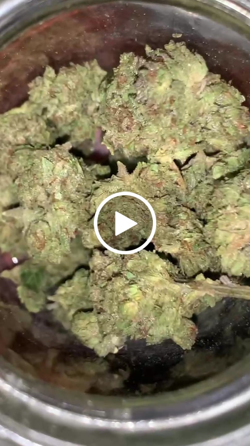 Customer video review of Light Assist THCA Smalls