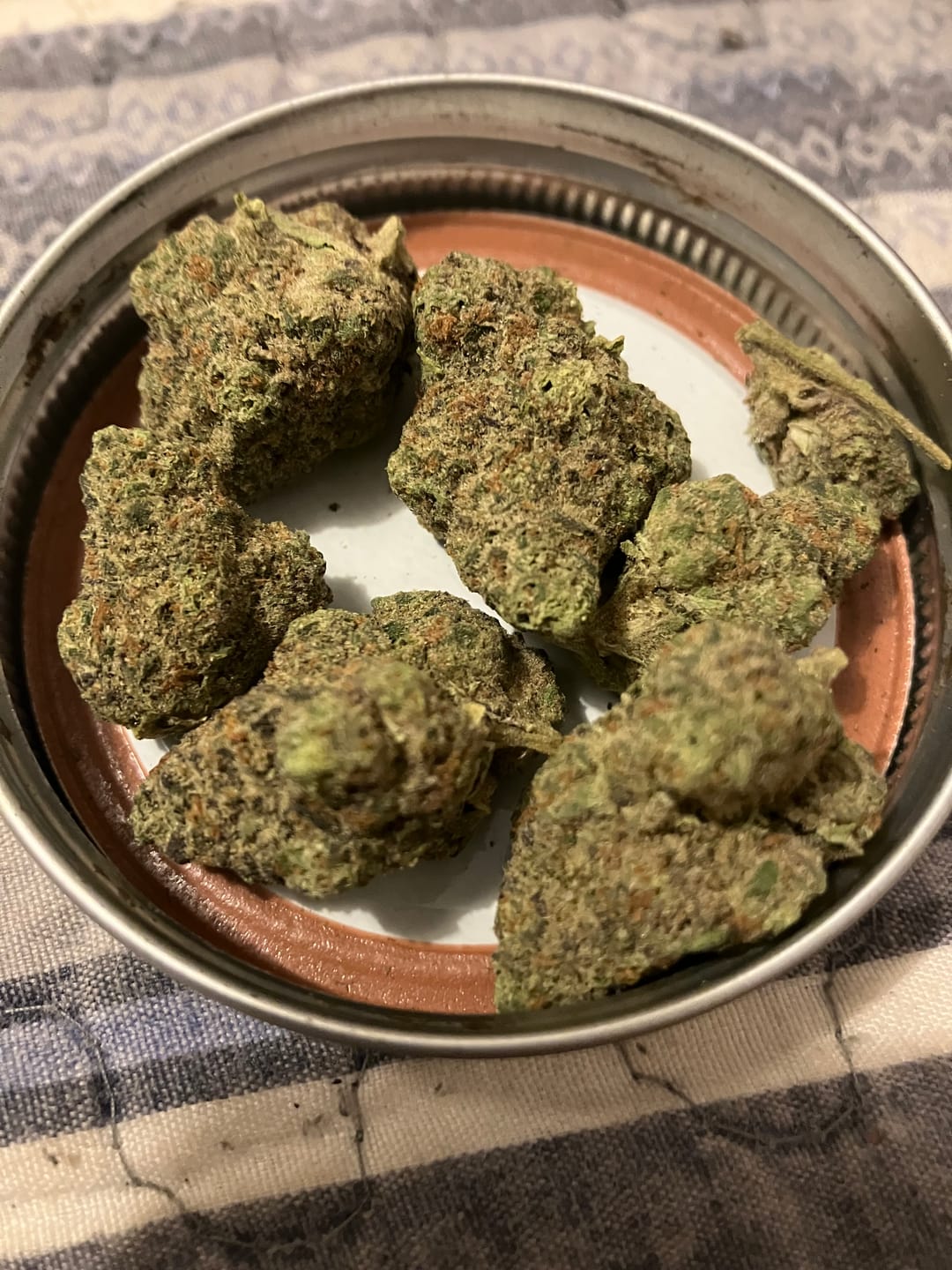 Customer photo review of Royal Gas Indoor THCA