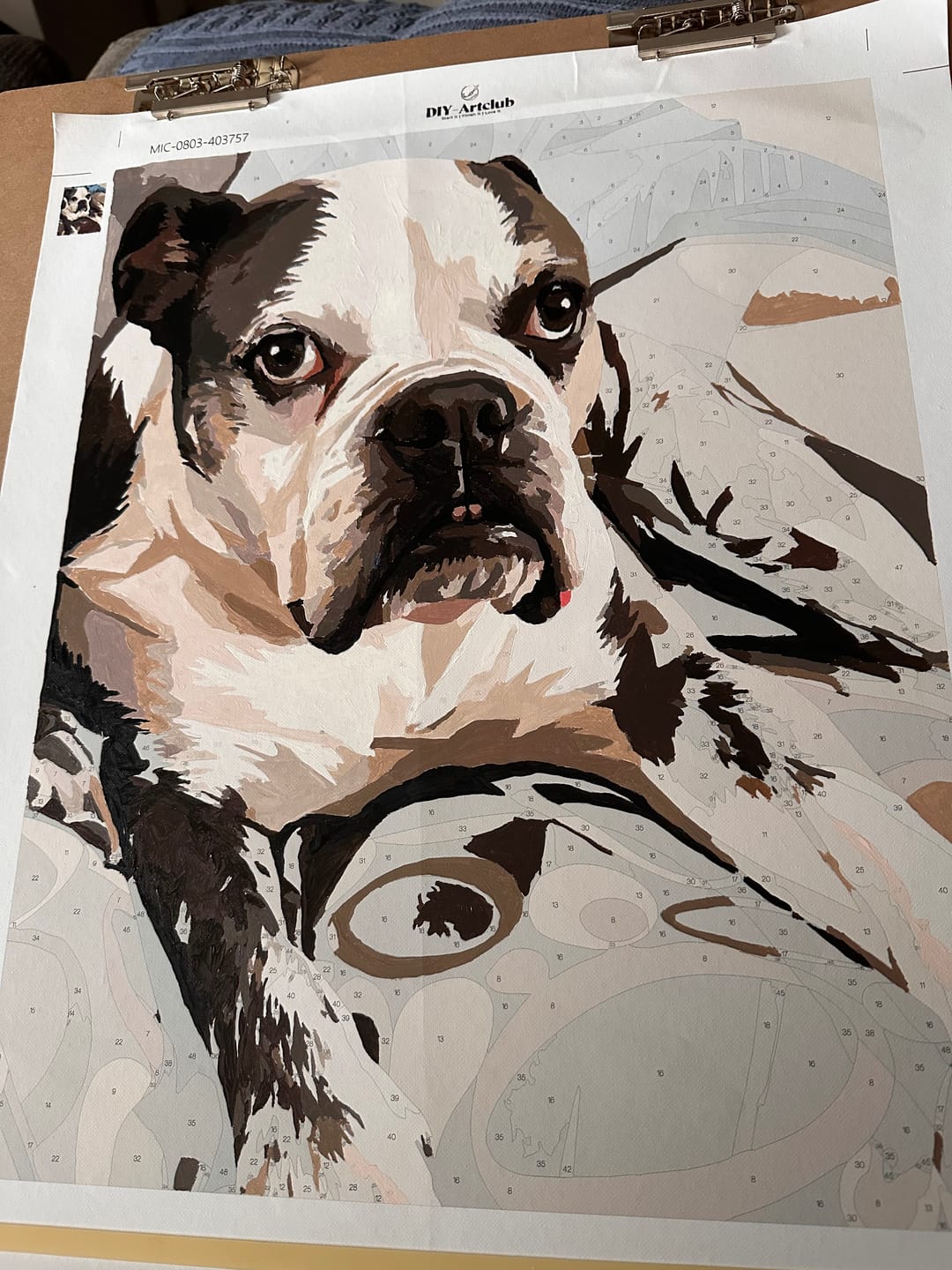 Customer photo review of Turn Your Pet Into a Painting – Custom Paint by Numbers Kit