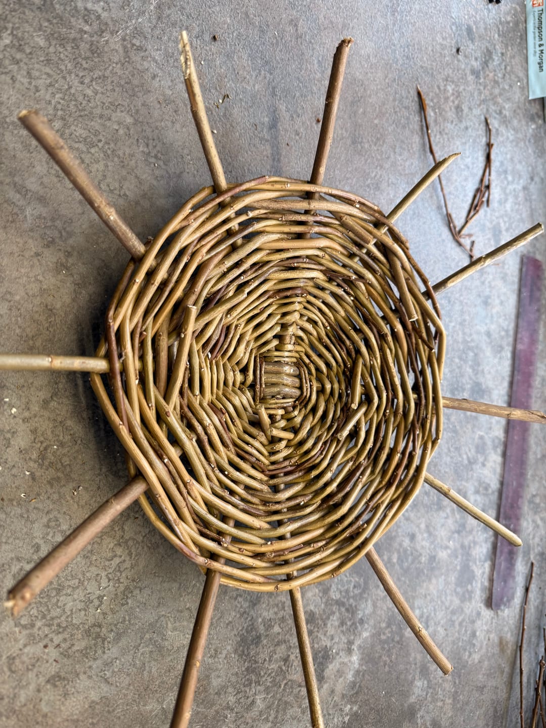 Customer photo review of The Berry Basket - Course and Kit