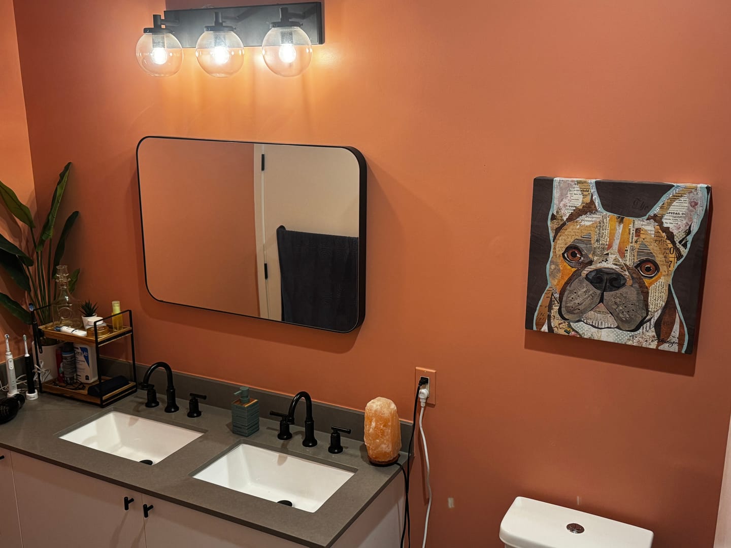 Customer photo review of C2 LUXE Interior Paint