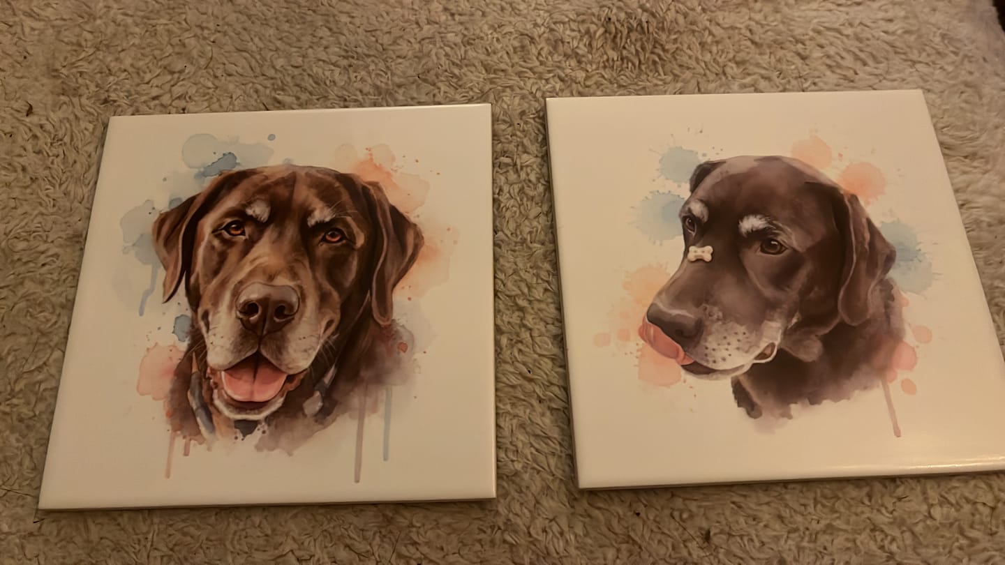 Customer photo review of Tegel met Gepersonaliseerd Huisdier Portret in Aquarelstijl