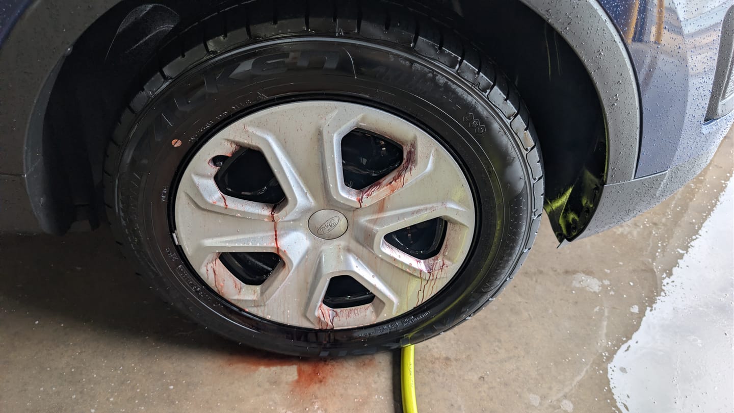 Customer photo review of Iron Remover - Fallout & Brake Dust Remover