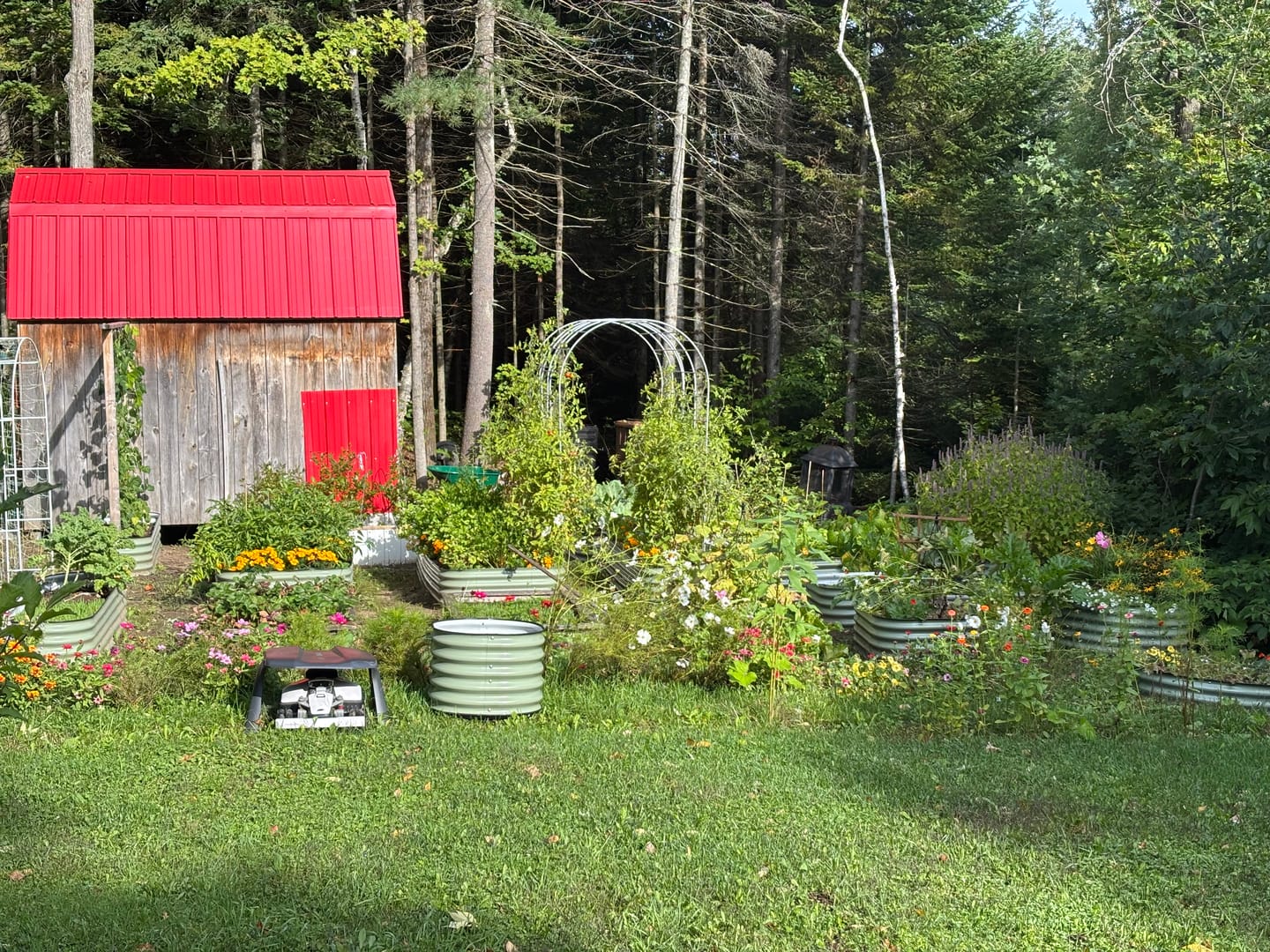 Customer photo review of Indoor Seed Starting Kit