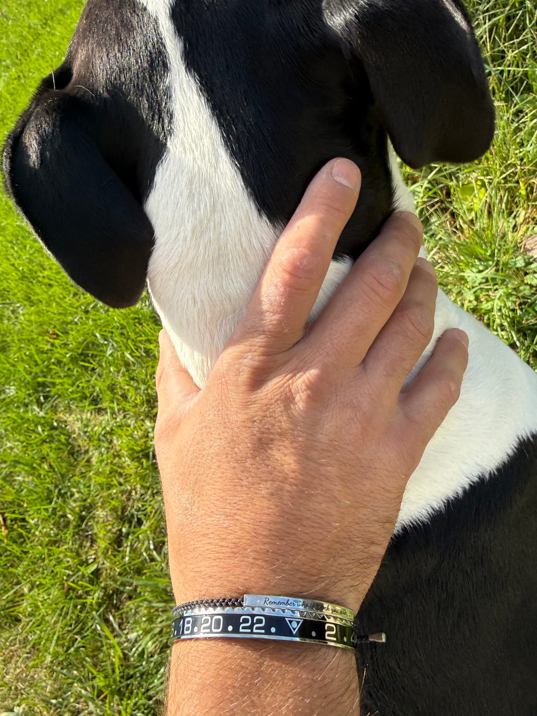 Customer photo review of BEZELET BATMAN