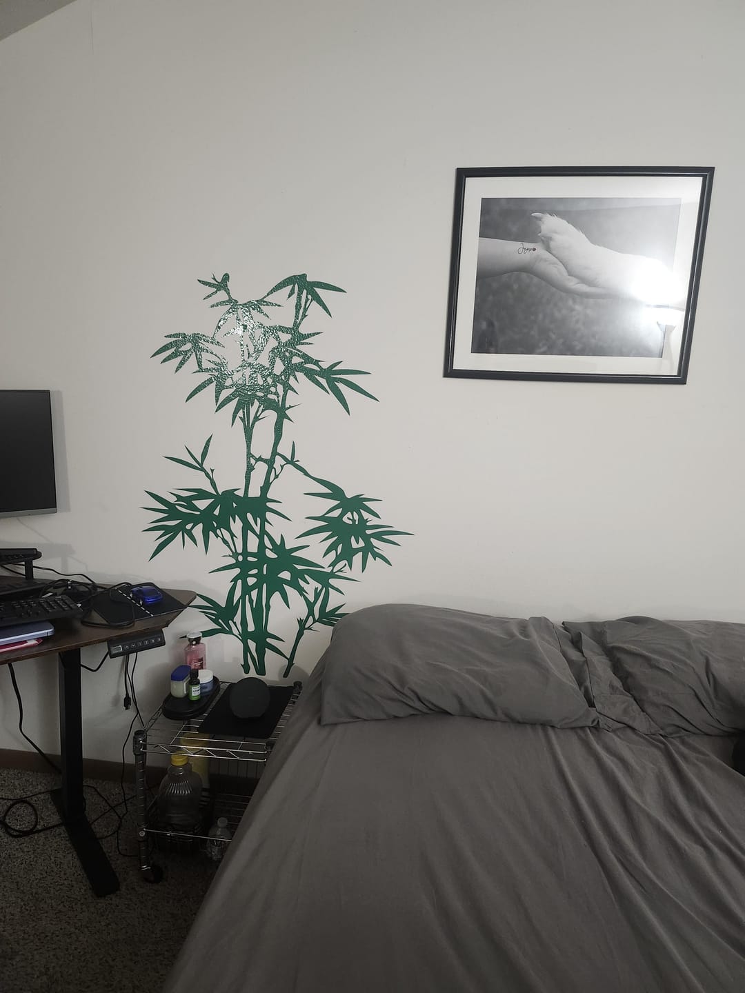 Customer photo review of Bamboo Tree Wall Decal. #101