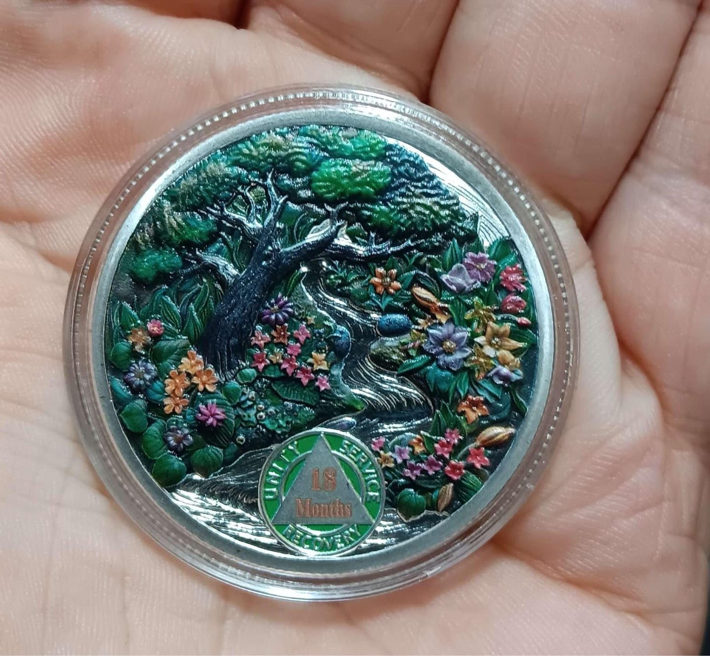Customer photo review of 1–12 Month Seasonal Landscape Sobriety Coins – Personalize Any Day, Month or Year