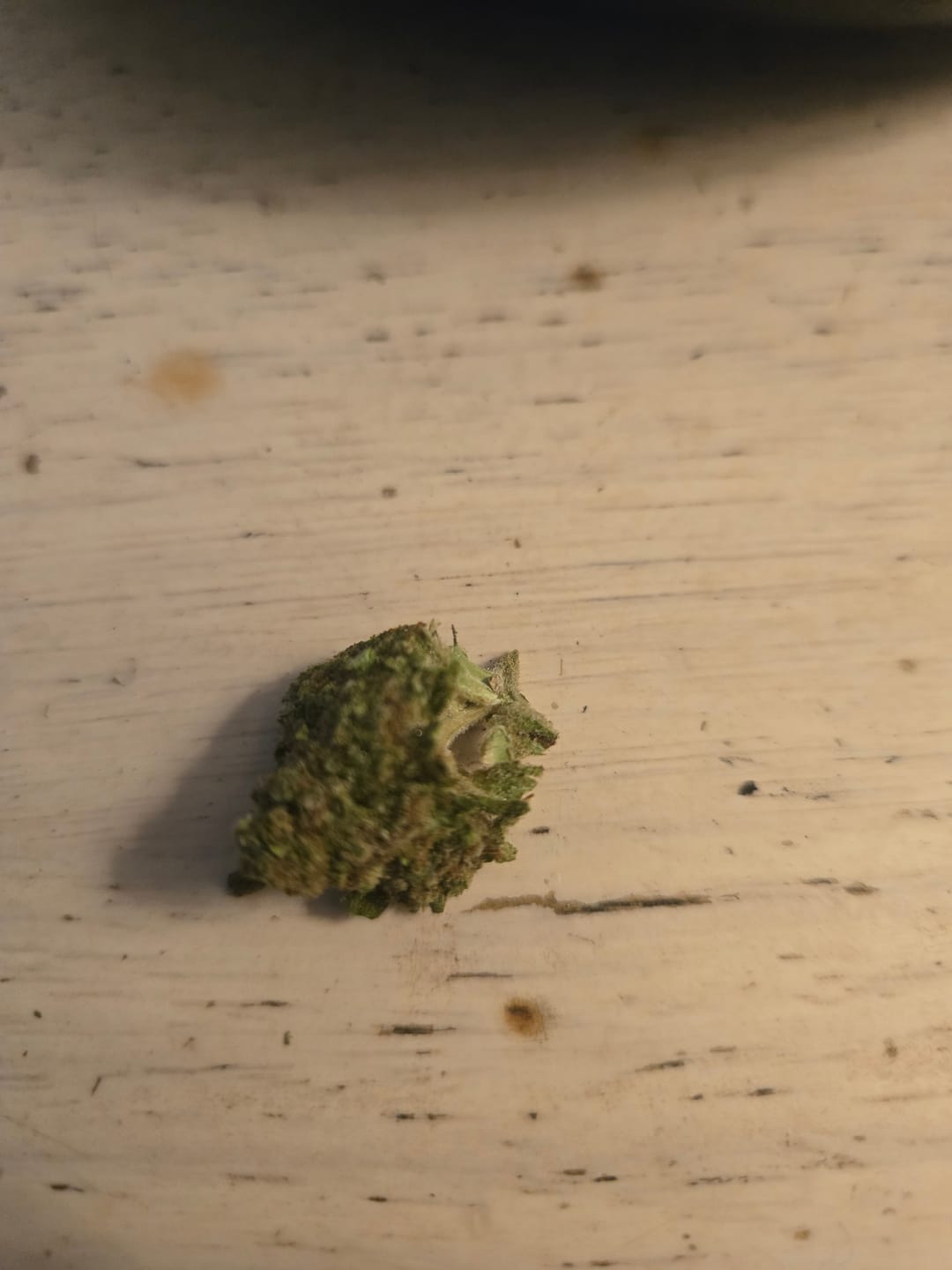 Customer photo review of Gotti OG THCA Don Flower
