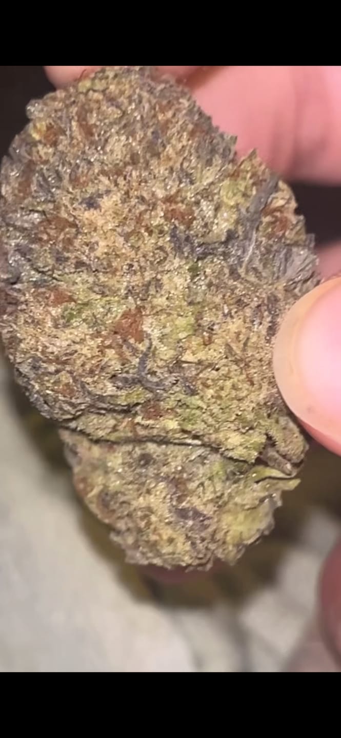 Customer photo review of GG4 Light Assist THCA