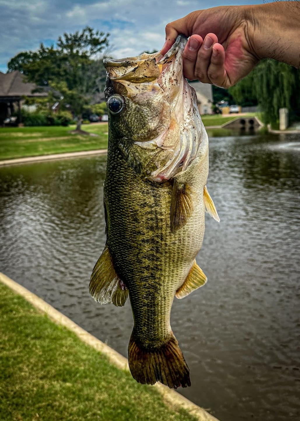Customer photo review of Pre-Rigged Soft Fishing Lures