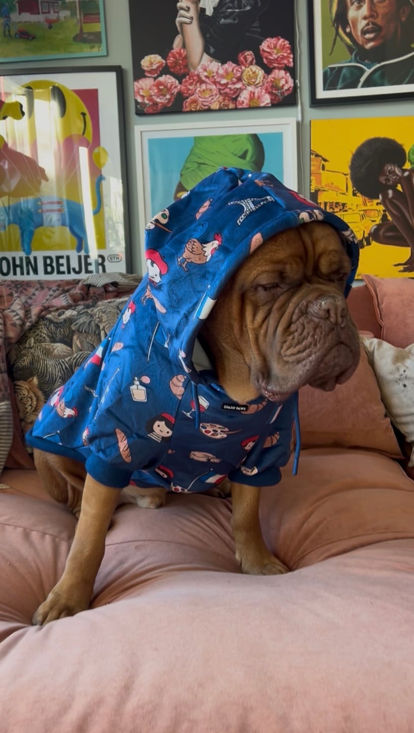 Customer photo review of The France Dog Hoodie - Blue