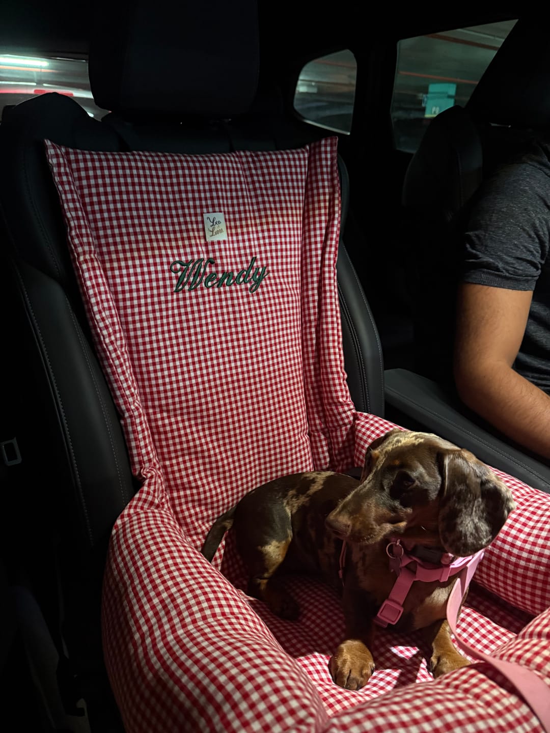 Customer photo review of Seggiolino Auto Cotone Vichy Rosso