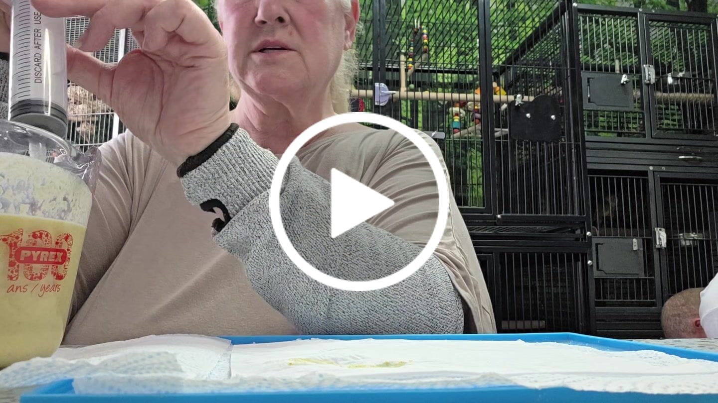 Customer video review of Unifine Luer Slip Central Tip 10ml Syringes - Box of 100