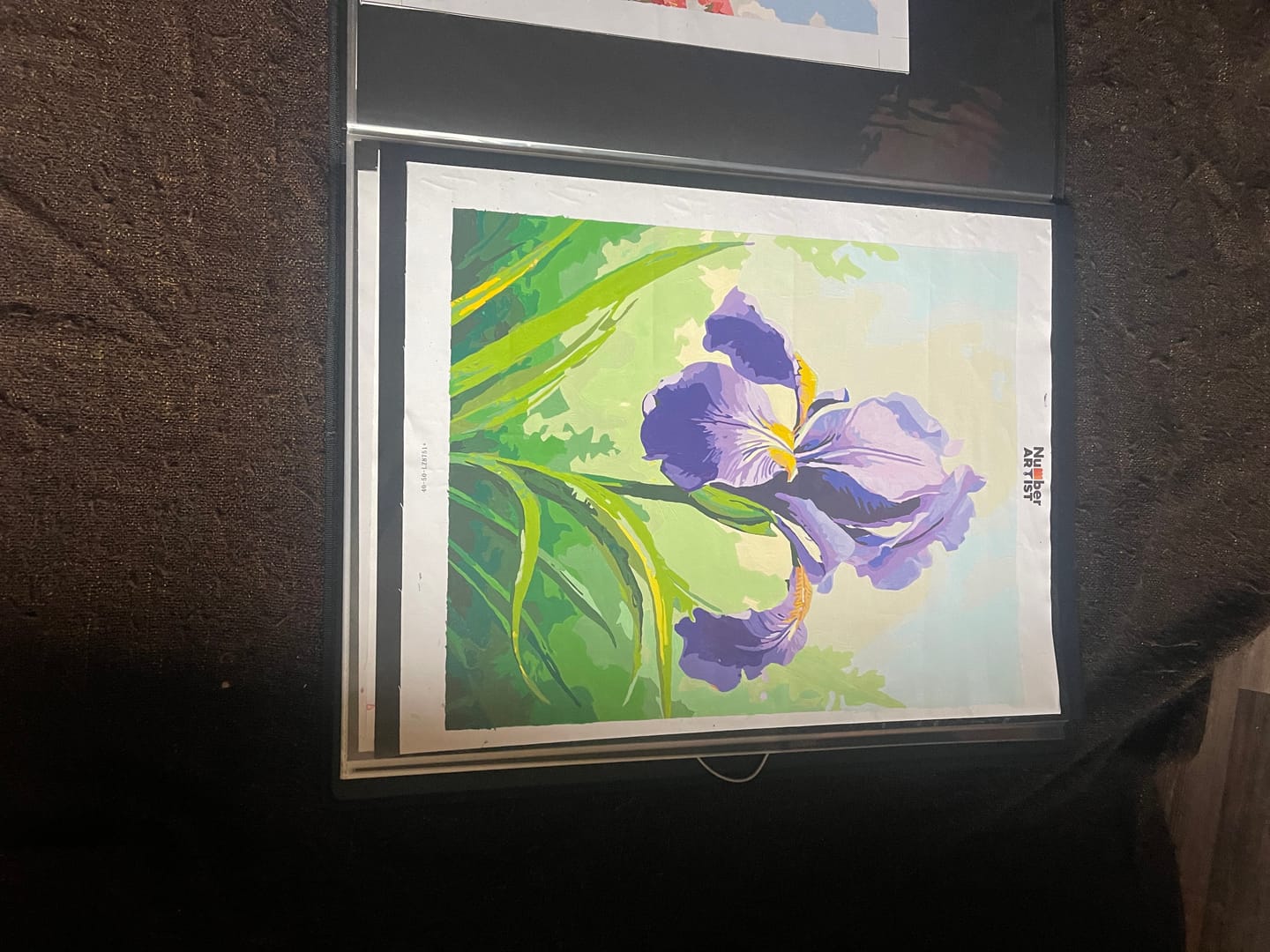 Customer photo review of Sunlit Iris